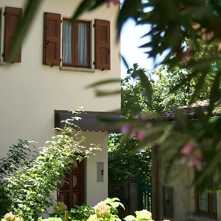 Persimmon * Ossuccio